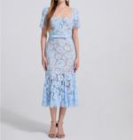 Blue Lace Form-fitting Fishtail Dress Women 2025 Summer New Fashion Elegant Slim Party Dresses 52510055