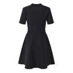 2025 Summer New Fashion French Noblewoman V-Neck Metal Button Elegant Stylish Slim-Fit Short Sleeve Lace Dress - Image 5